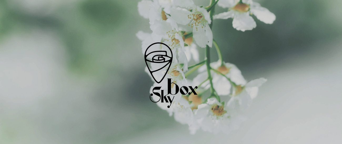طراحی برندینگ و بسته بندی گل فروشی اینترنتی اسکای باکس - استودیو خلاقیت نهاکی Branding & Packaging sky box flower online shop - nahaki creative boutique agency